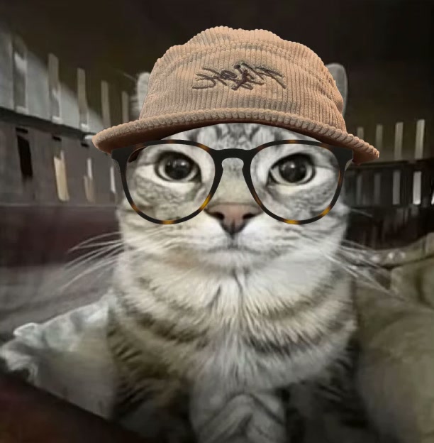 Niven as a cat in the same hat and glasses